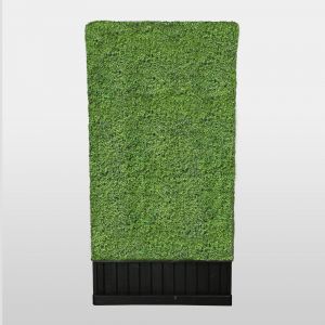 Single-Sided Boxwood Hedge
